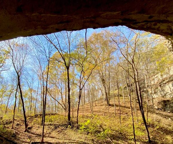 Mammoth Cave National Park - Cedar Sink Trail Mammoth Cave National Park - Cedar Sink Trail